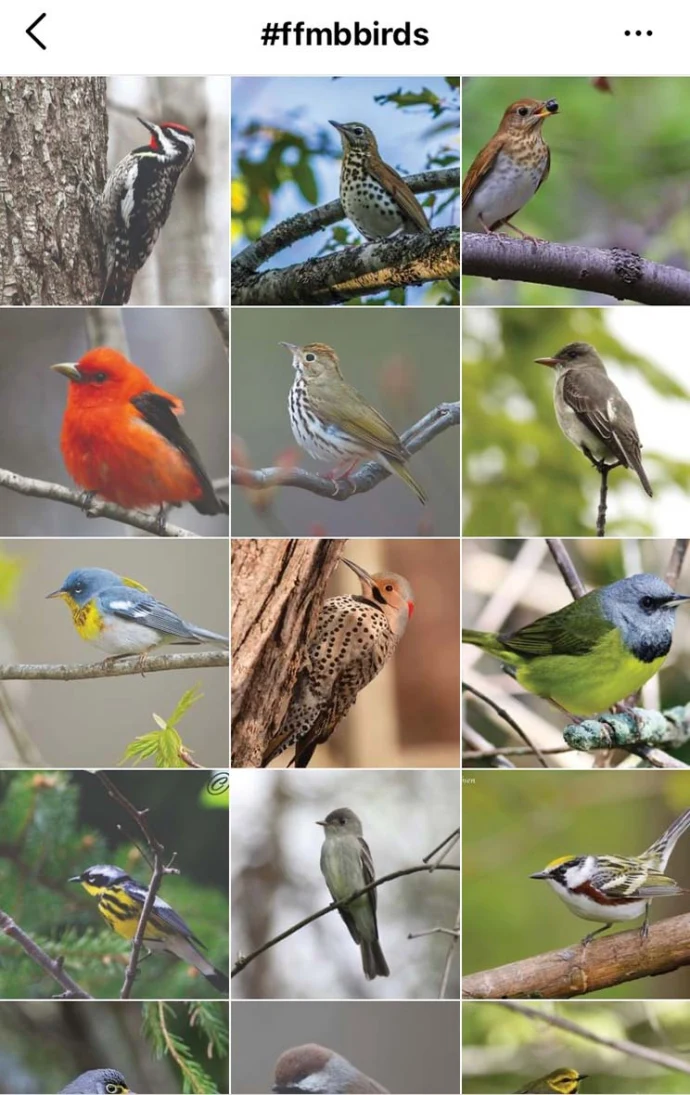 Maine Audubon Instagram