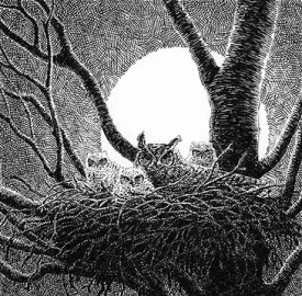 LEAD-owl-feature.jpg thumbnail