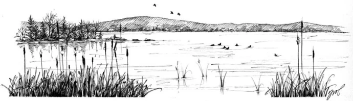 Lake_overturn_web.jpg