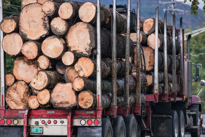 Logging Truck