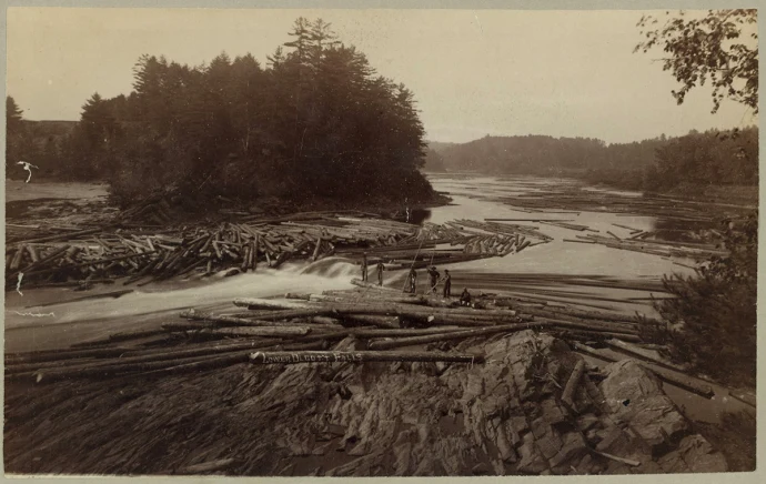 Logging