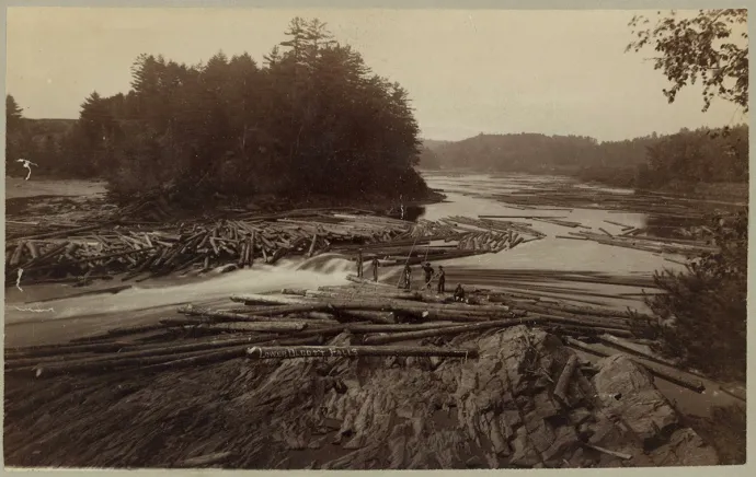 Logging
