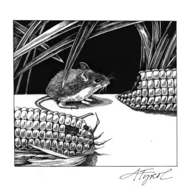 Mice.jpg thumbnail