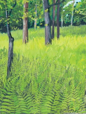 Microscope_Fern_300.jpg thumbnail