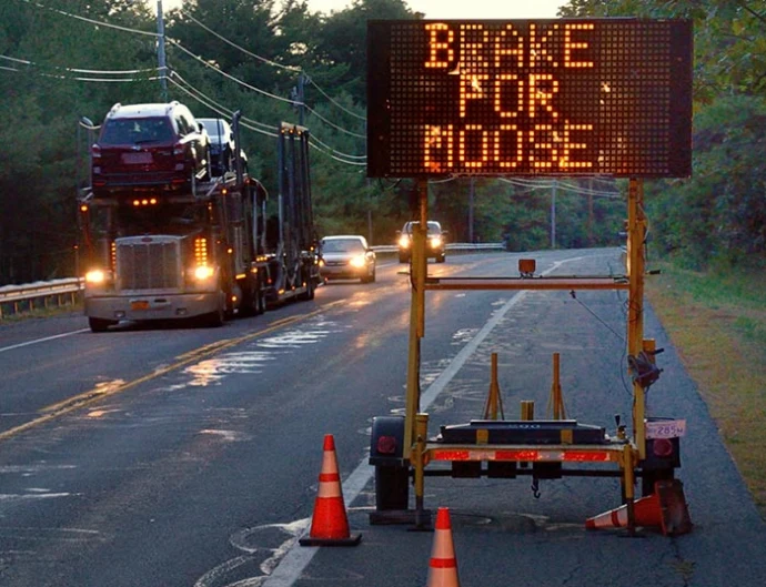 Moose_Crossing_2.jpg