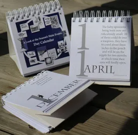 NW_Calendar_2.jpg thumbnail
