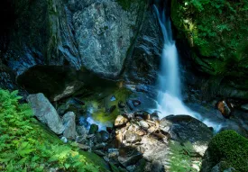NW Falls thumbnail