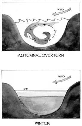 Overturn.jpg thumbnail