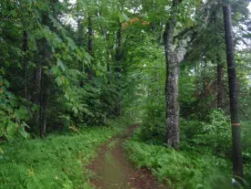 Picture_018.jpg thumbnail