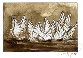 Puddle_of_butterflies_w.jpg thumbnail