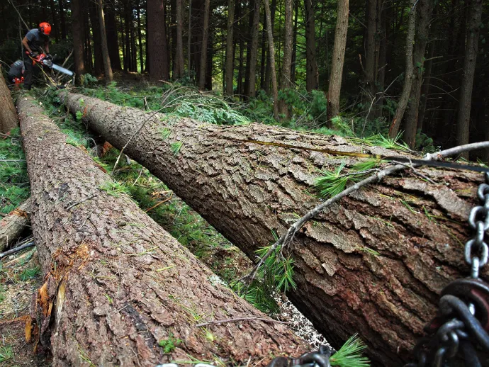 Logging by Hand