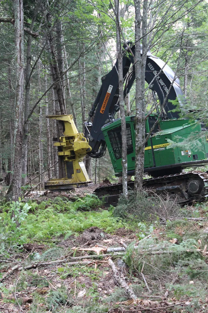 Feller Buncher