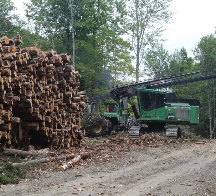 Empty Log Truck