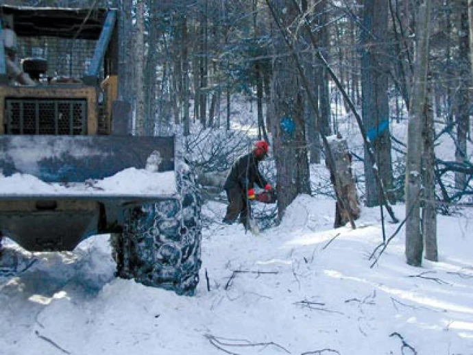 Managing forest