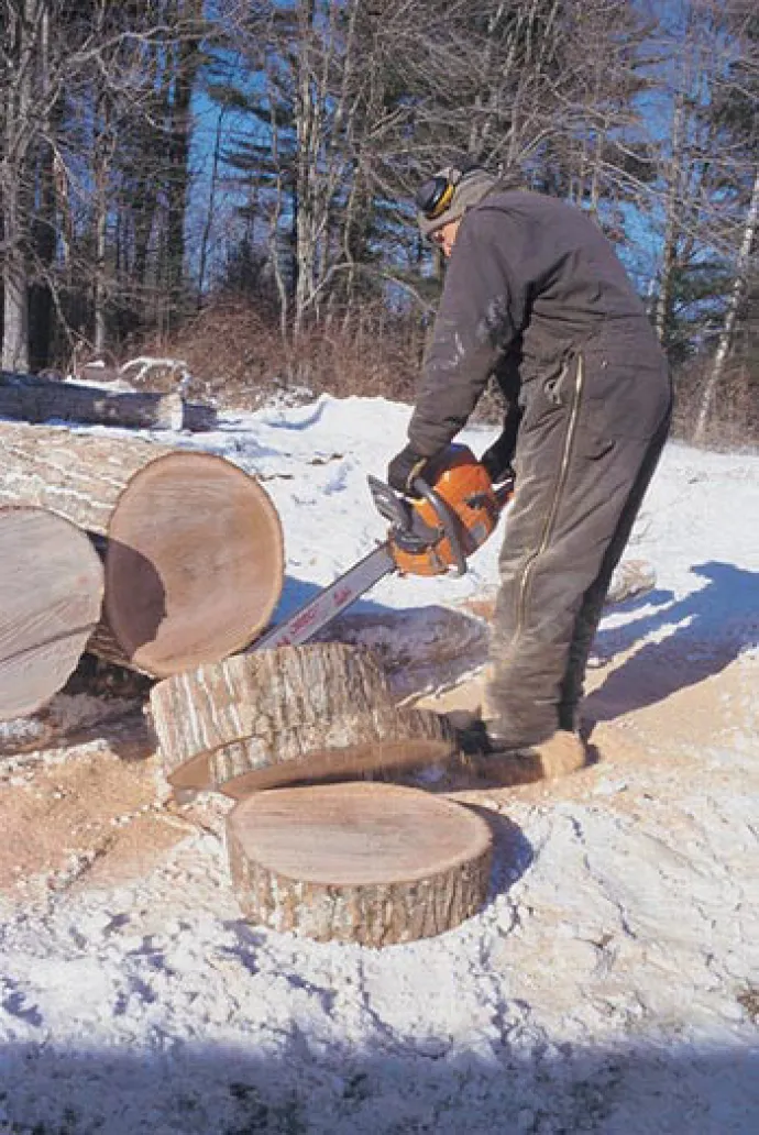 Sugar Saw Log