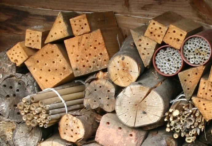 Bee House