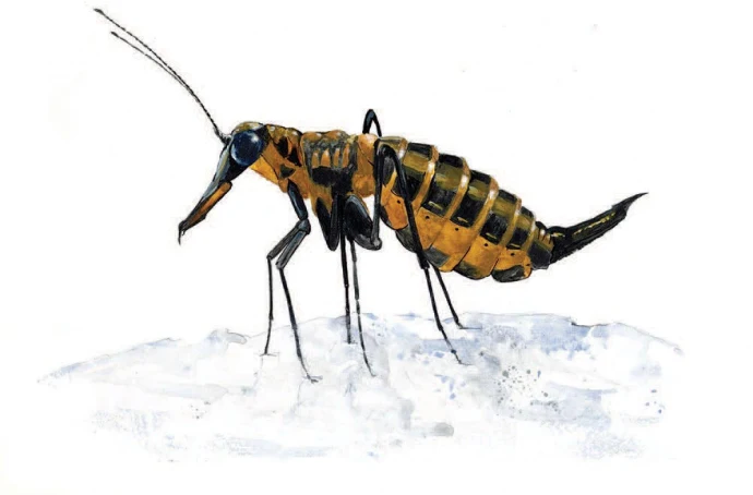 Scorpionflies