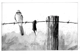 Shrike.jpg thumbnail