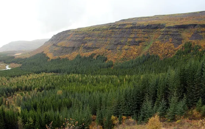Skogarpesi_Iceland_w.jpg