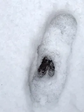 Snow Dent 2 thumbnail