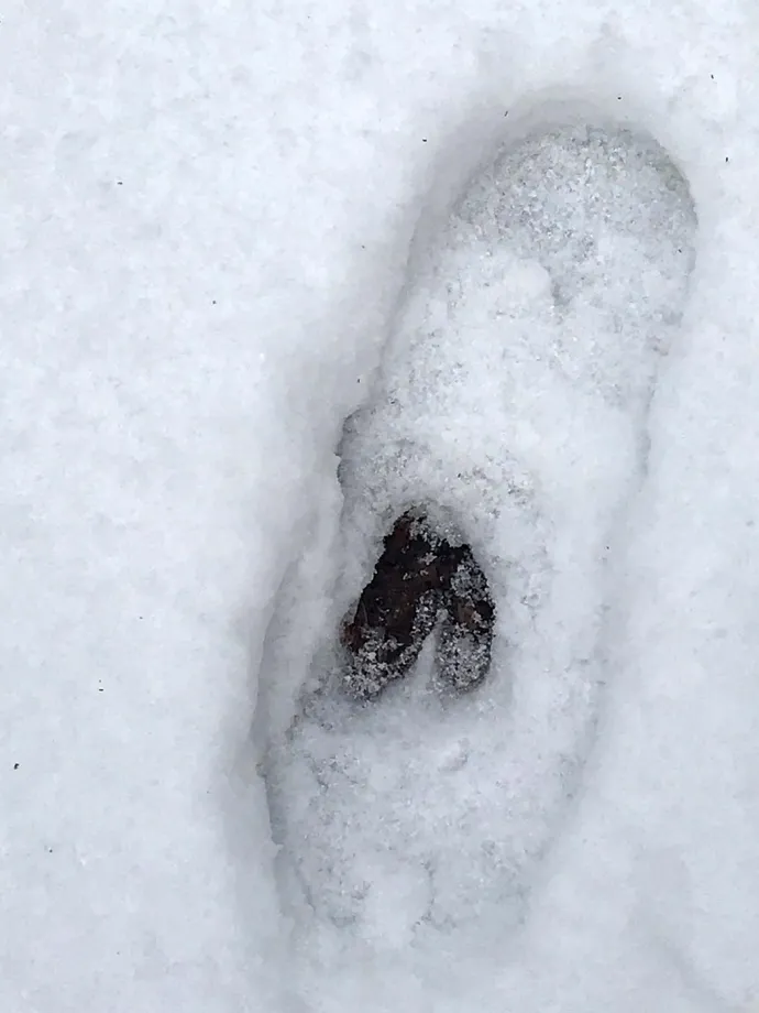 Snow Dent 2
