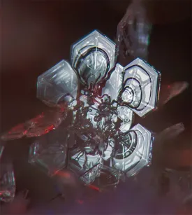 Snowflake_Photo_Lead.jpg thumbnail