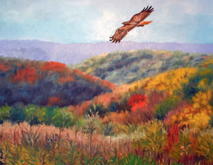 Soaring Bird