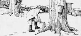 Sugaring_1.jpg thumbnail