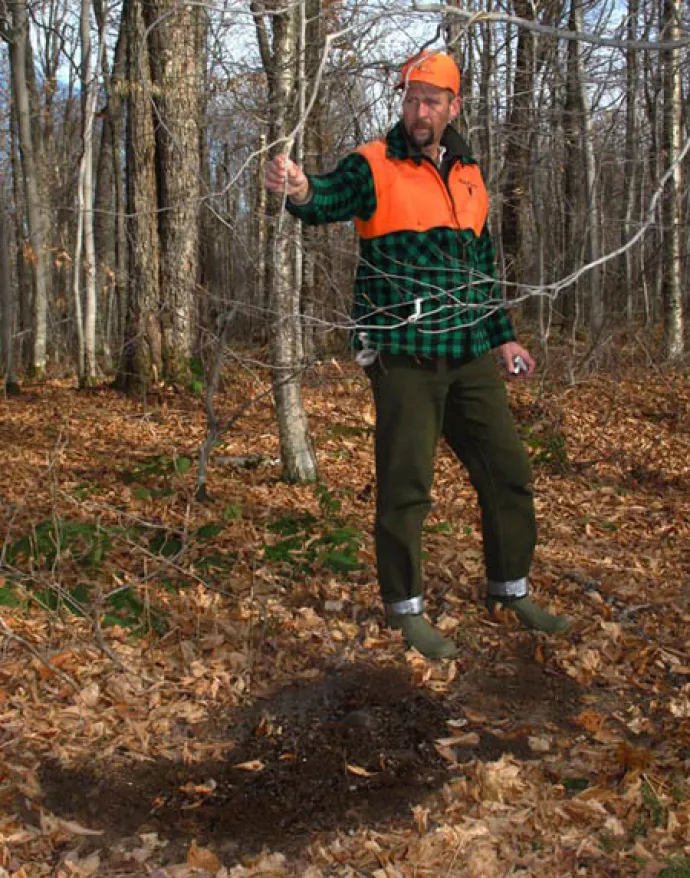 Tracking Deer
