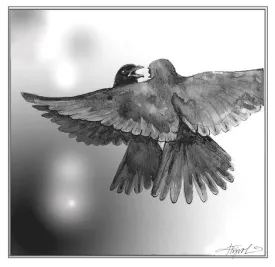 TOS_Angry_Birds_web.jpg thumbnail