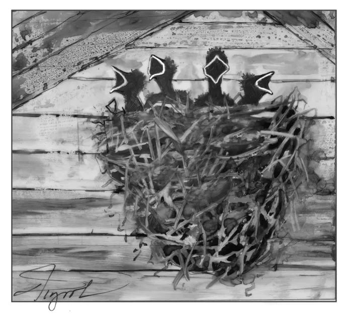 Swallows