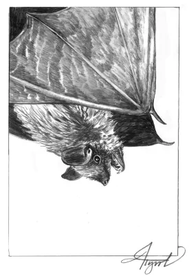 Spring Bat thumbnail