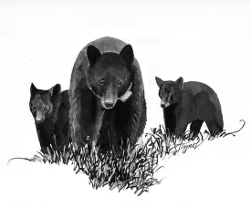 TOS_Bear_and_Cubs_web.jpg thumbnail