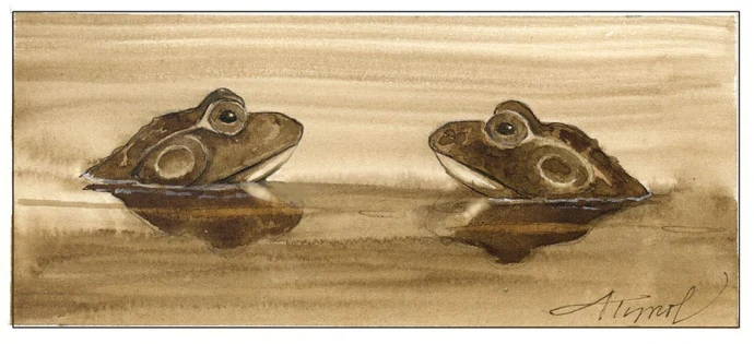 TOS_Bull_Frogs_web.jpg