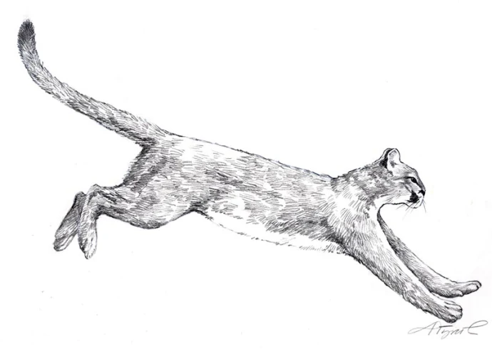 TOS_Catamount_web.jpg