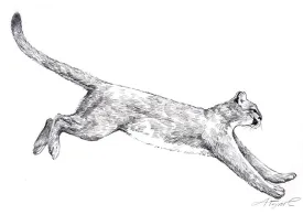 TOS_Catamount_web.jpg thumbnail