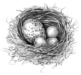 TOS_Cowbirds_web1.jpg thumbnail