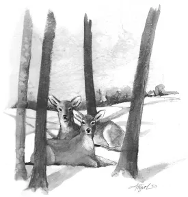 TOS_Deeryard_web.jpg thumbnail