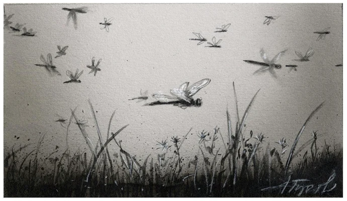 Dragonfly migration