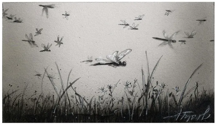 Dragonfly migration