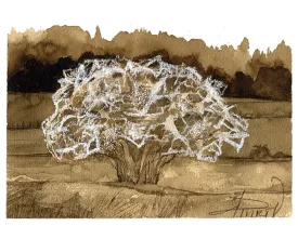 TOS_Ermine_Spindle_web.jpg thumbnail