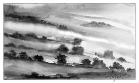 TOS_Fog_on_Maples_web.jpg thumbnail