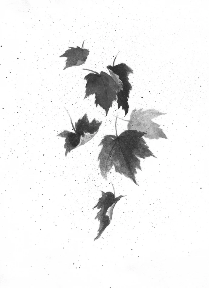 Fall Foliage