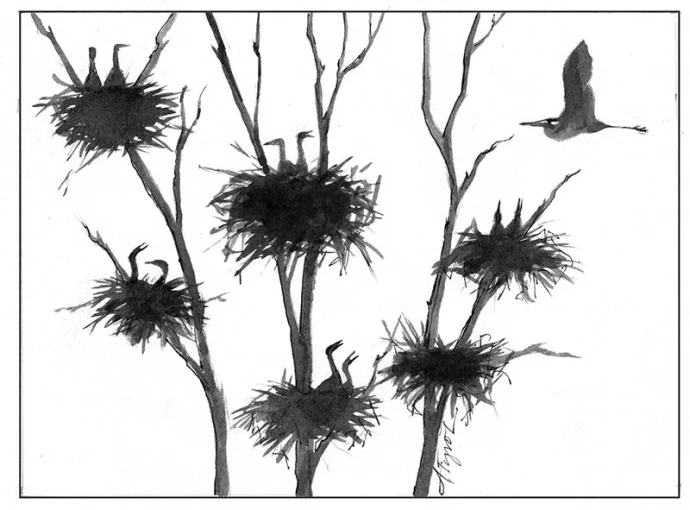TOS_Heron_Rookery_web.jpg