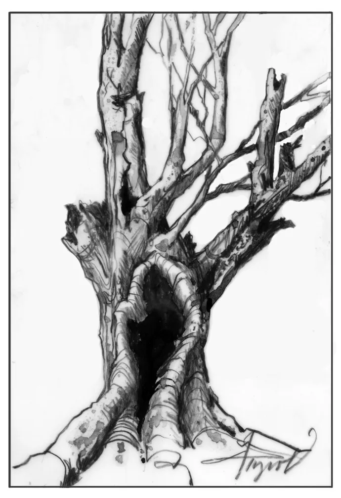 Hollow tree