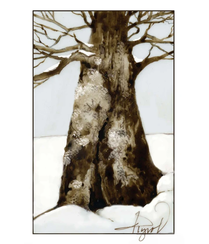 Lichen
