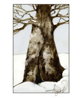 Lichen thumbnail