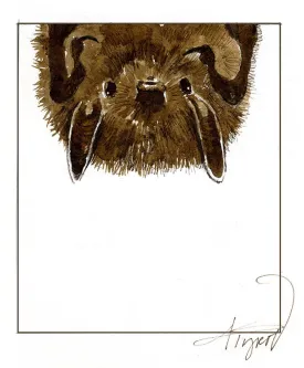 TOS_Long_earred_bat_web.jpg thumbnail