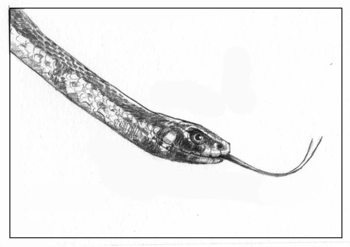 TOS_Milksnake_web.jpg