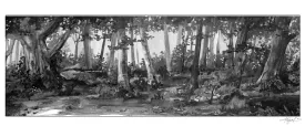 Old forest thumbnail